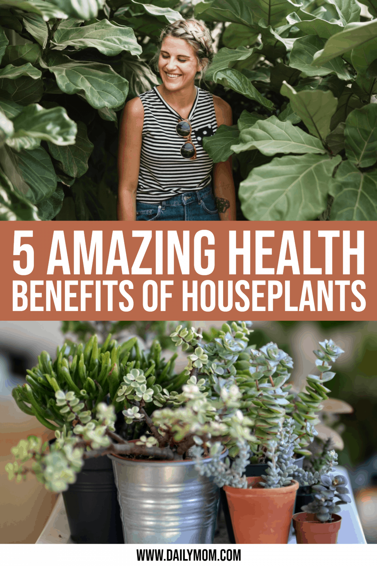 5 Amazing Health Benefits Of Houseplants