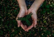 16 Eco-Friendly Must-Haves to Get You Through the Rest of 2019 eco
