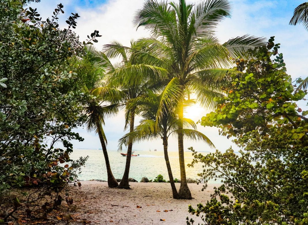 pexels-photo-2225499 4 Best Vacation Spots In Florida For Families