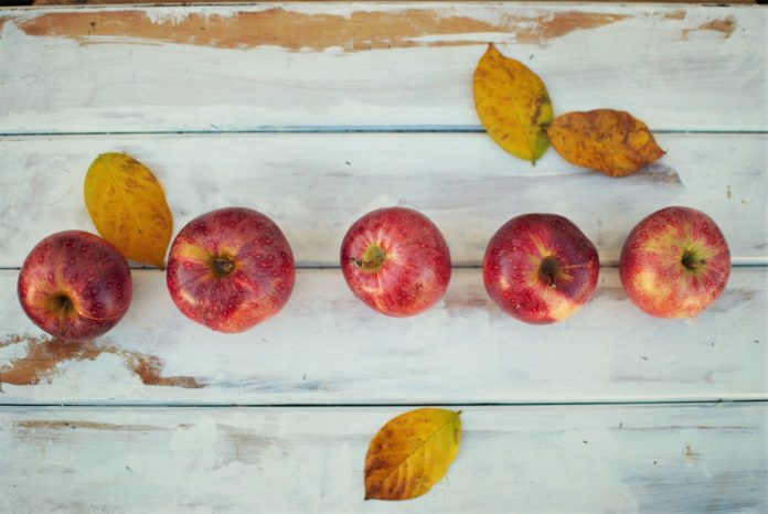 16 Healthy Thanksgiving Desserts For Kids