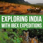 Ibex Expeditions: India Travel Guides And Excursions