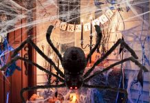 31 Must-have Halloween Decorations