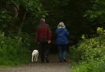 How to Find Your Footing During Retirement with MySTeP retirement