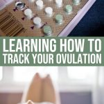 How To Track Your Ovulation