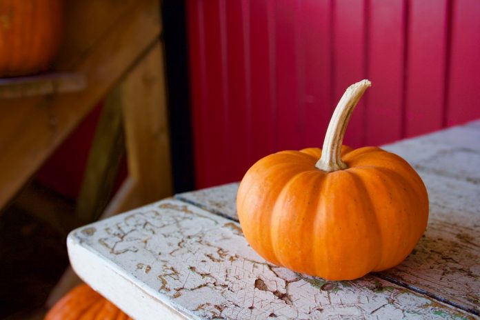 10 Halloween Activities And Toys For Kids