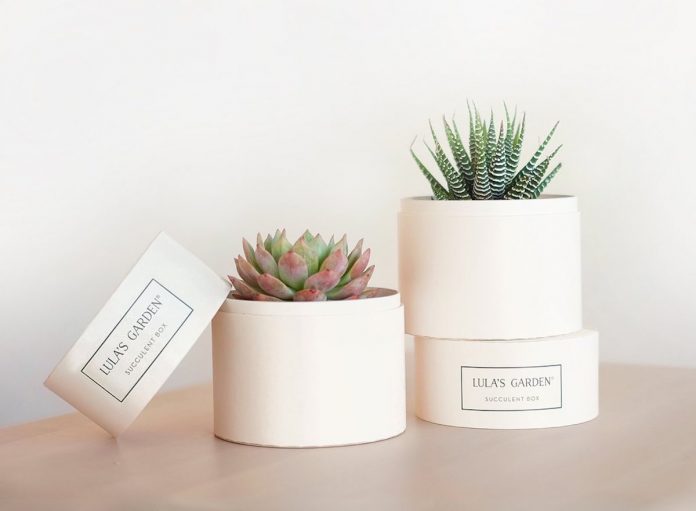 Gift Guides
