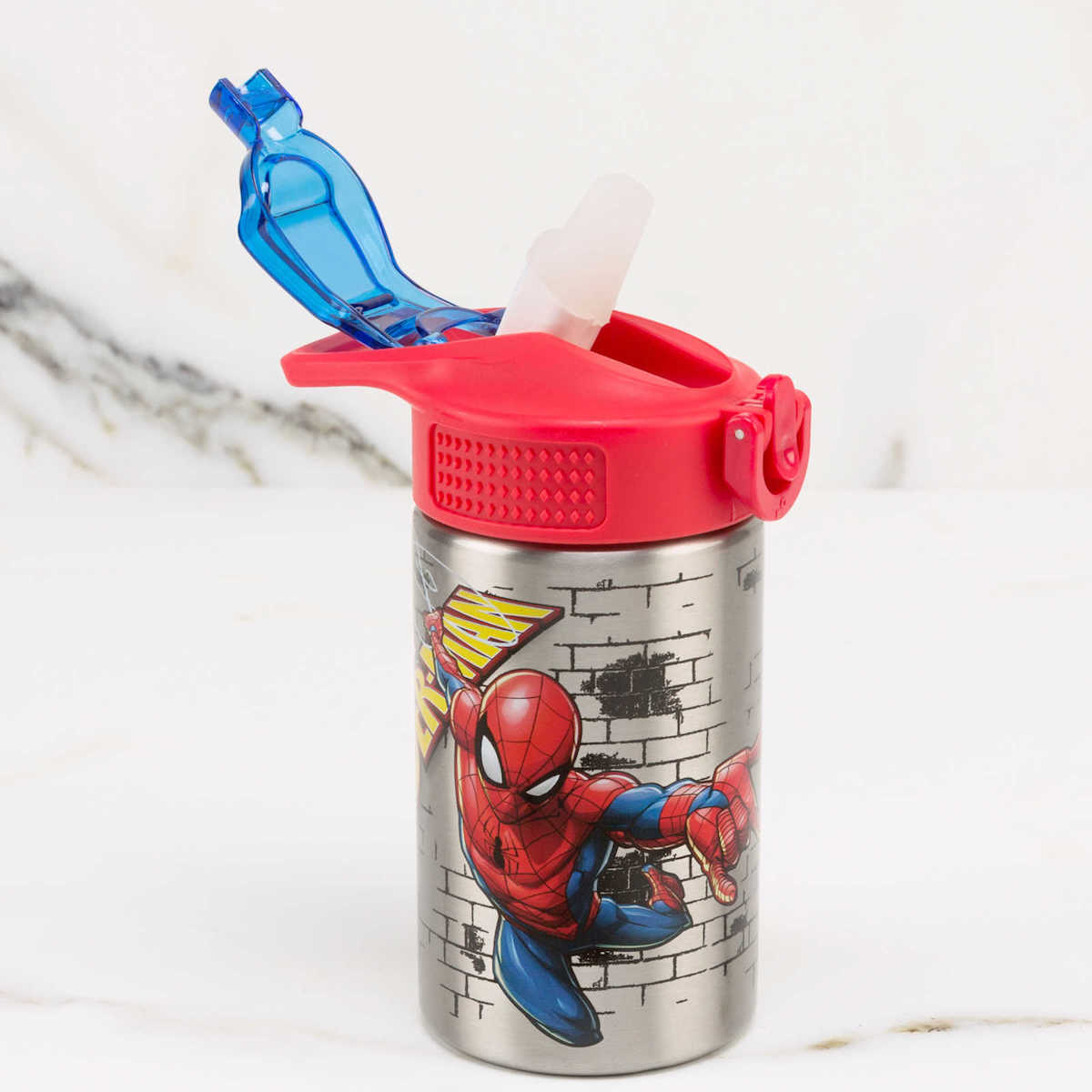 Zak Designs Inc. Spidey and Friends Stainless Steel Bottle for