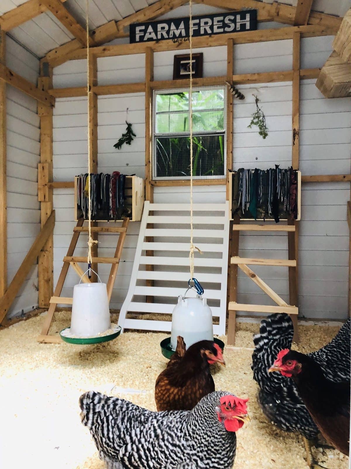 Stylish Chicken Coops For Backyard Chickens