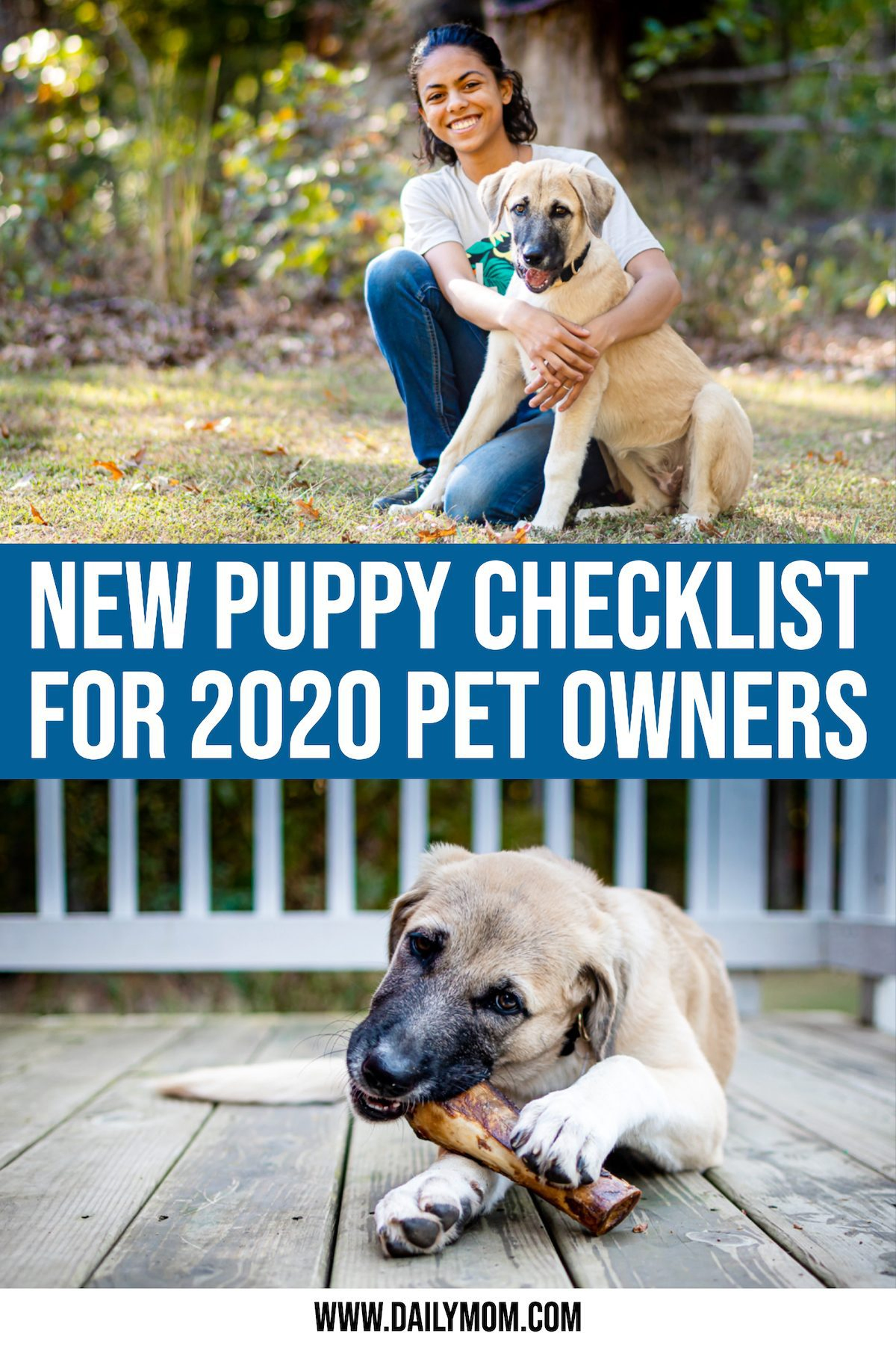 daily-mom-parent-portal-New Puppy Checklist: Ultimate Round-up Guide