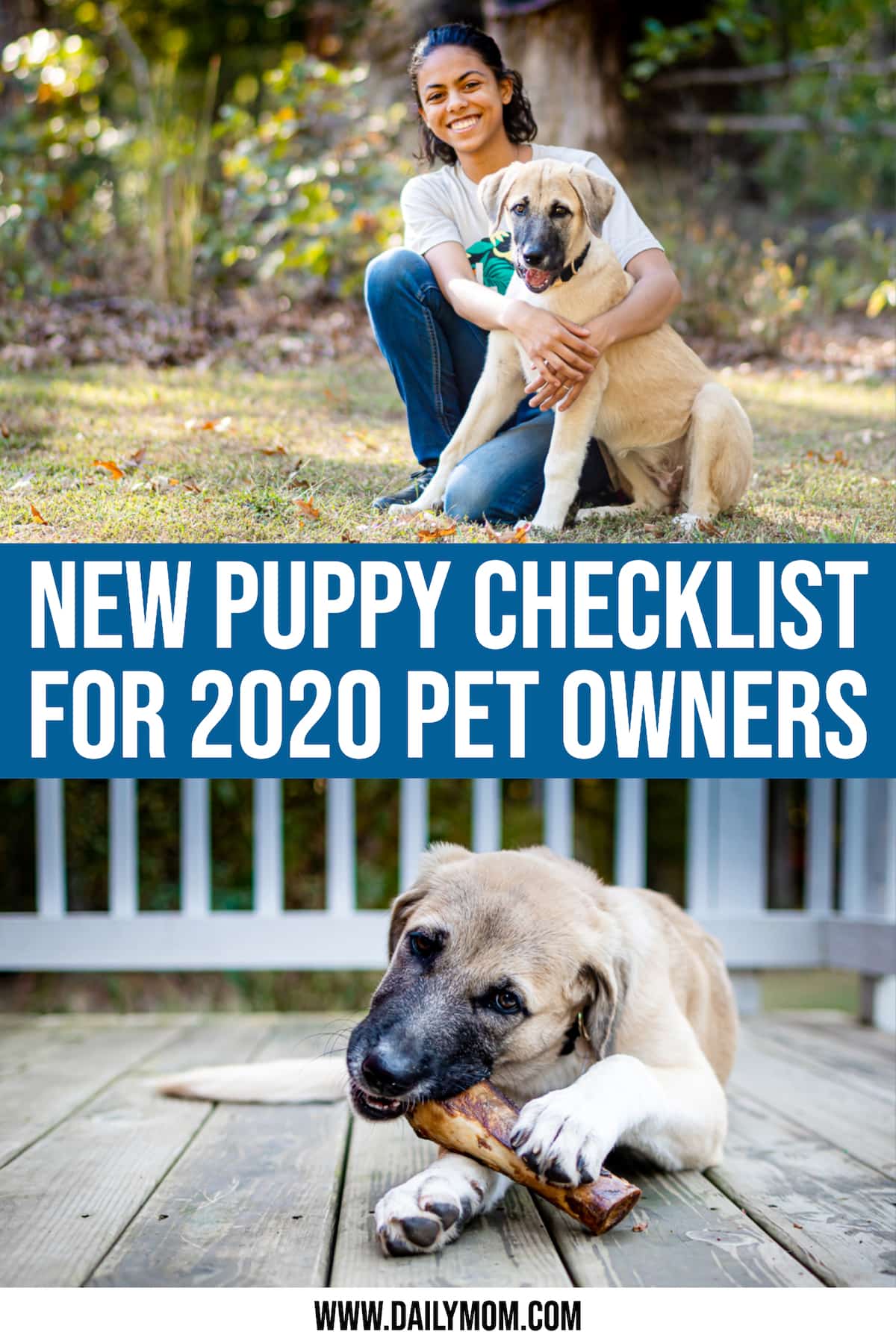 new puppy checklist calendar