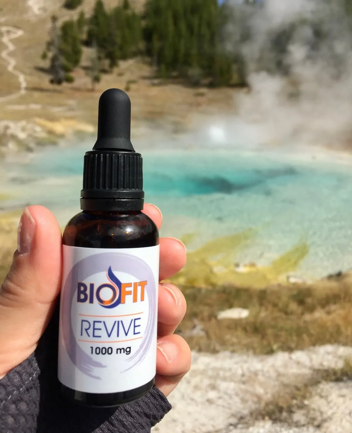 25 Last-Minute Health and Fitness Gifts for the Health Conscious 8 Daily Mom Parents Portal Hgg 2019