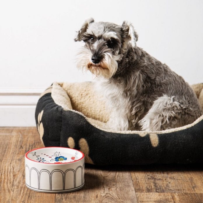 20 Gifts For A Pet Lover