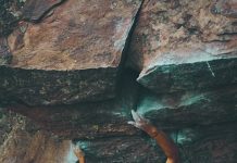 50 Positive Quotes To Live By