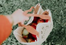 Ways to Maintain a Sustainable Lifestyle Ways To Maintain A Sustainable Lifestyle