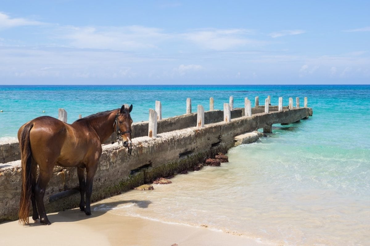 6 Things Everyone Should Know Before Visiting Jamaica