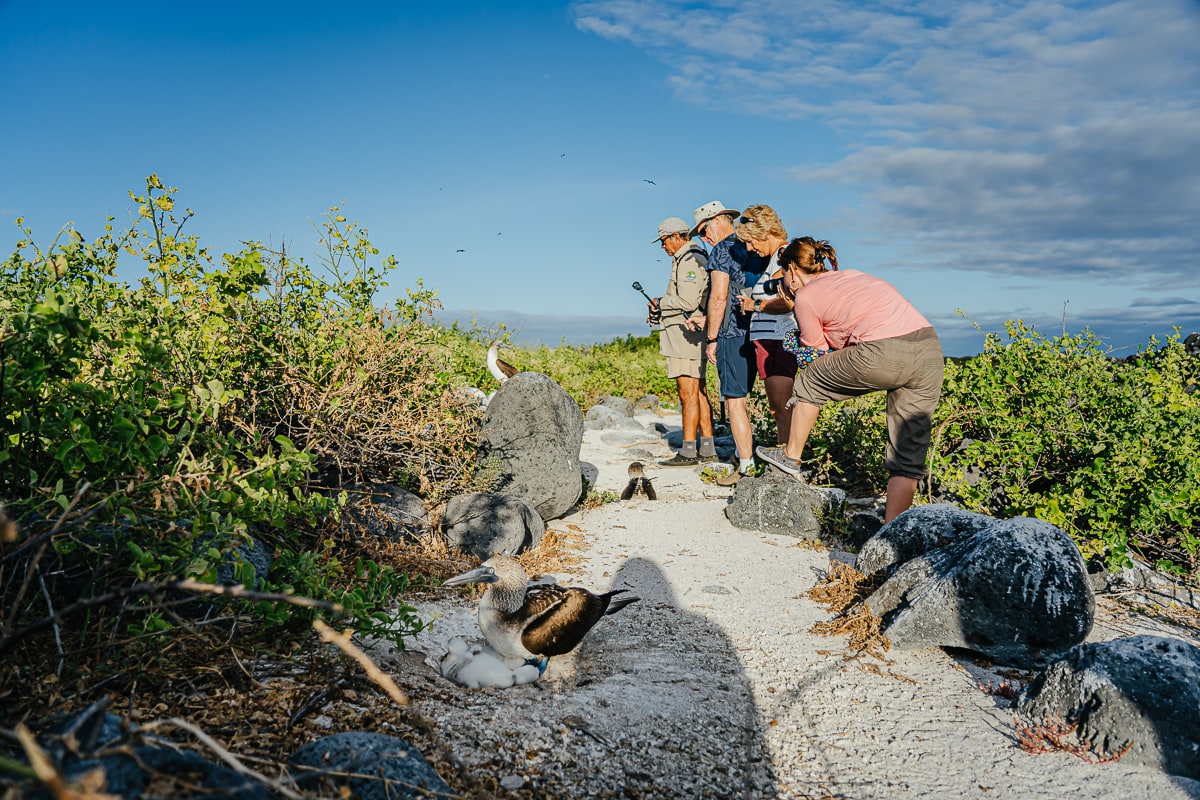 The Best Cruise For Your Galapagos Islands Vacation