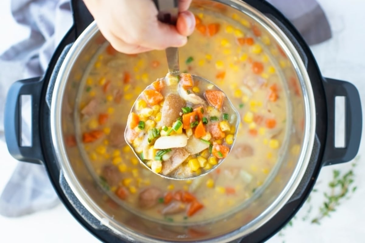 10 Instant Pot Recipes For Vegans