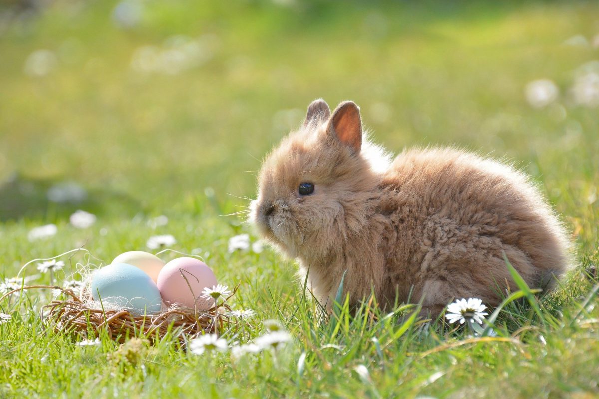 3 Lesser-Known Facts About Easter