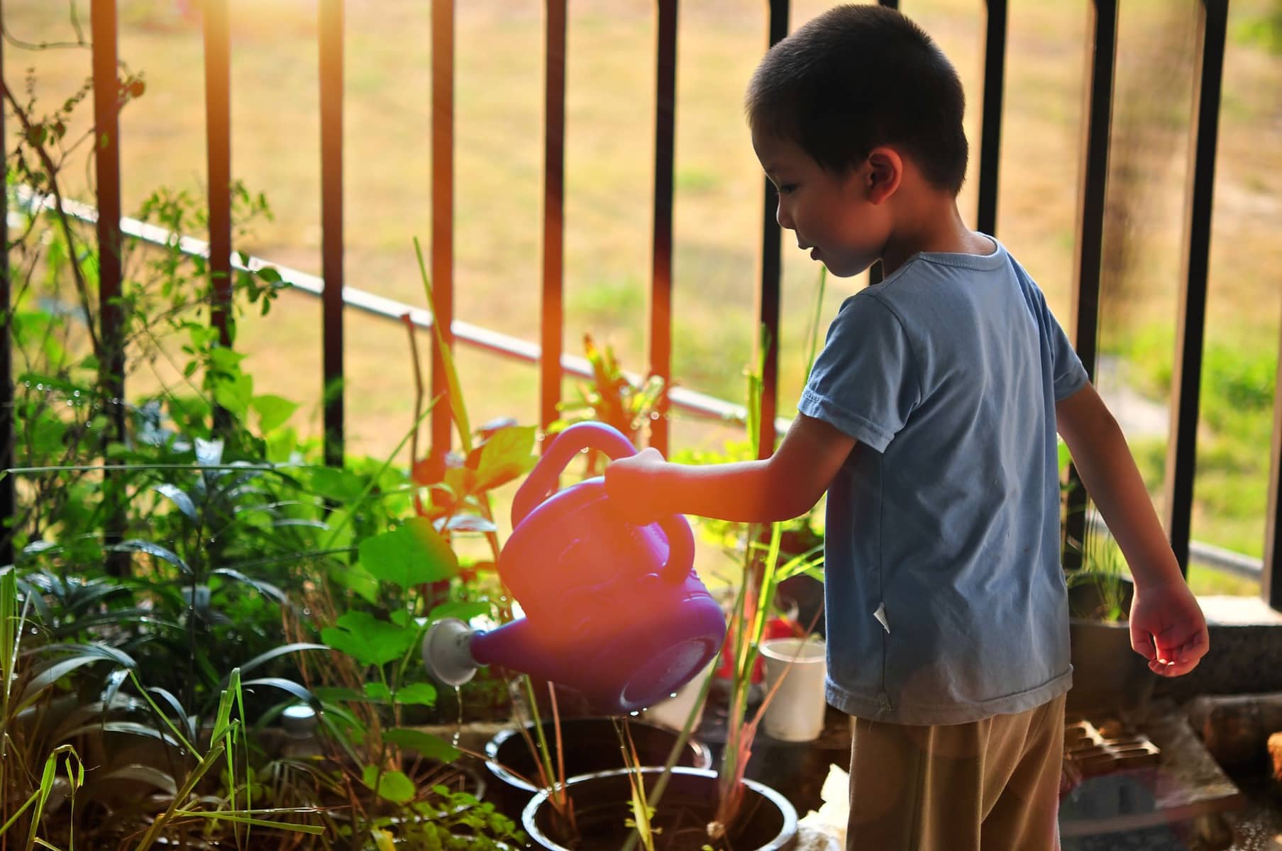 Why You Should Create An Enchanting Children’s Garden This Spring