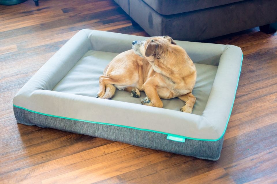 Perfect Gifts For Him On Valentine's Day