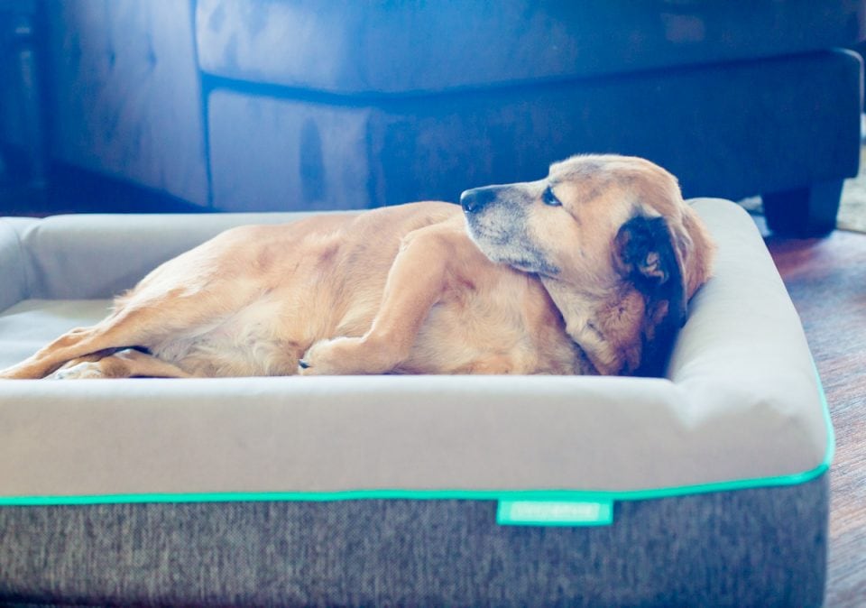 Perfect Gifts For Him On Valentine's Day