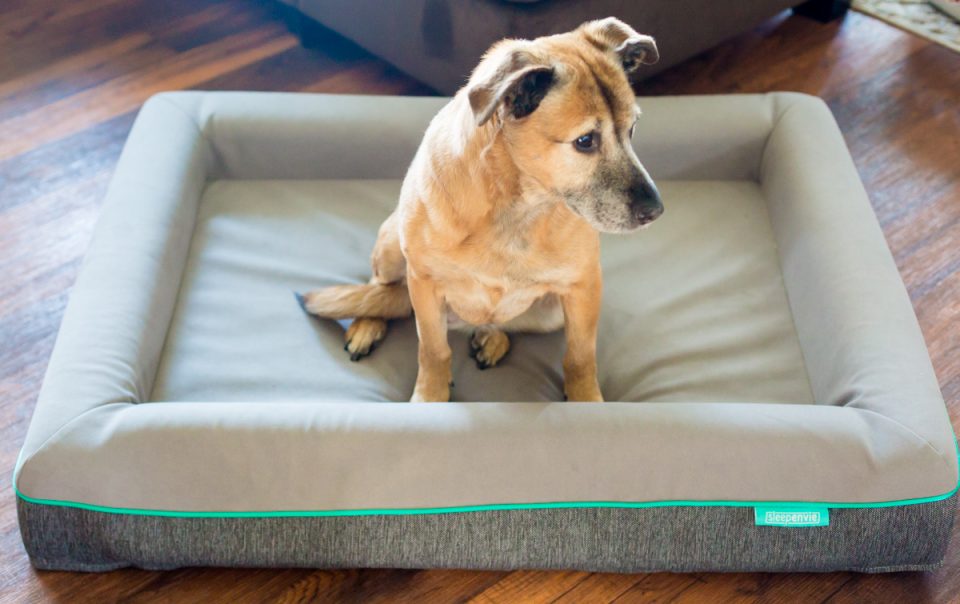 Perfect Gifts For Him On Valentine's Day