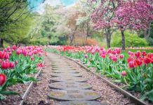 25 Solar Powered Yard Decorations You Need This Spring