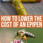 Helpful Tips And Tricks To Lower The Cost Of An Epipen