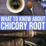 Everything You Need To Know About Chicory Root