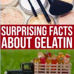 Surprising Facts About Gelatin