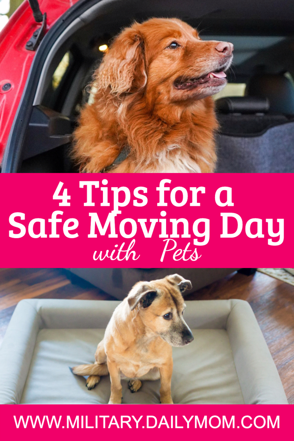 Pcs Tips: How To Have A Safe Moving Day With Pets