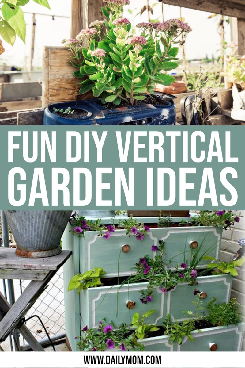 Creating A Fantastic Vertical Garden For Your Home