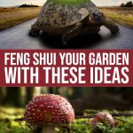 Charming Garden Decor Ideas