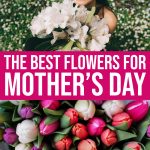 The Best Flowers For Mother’s Day: What To Send And Why