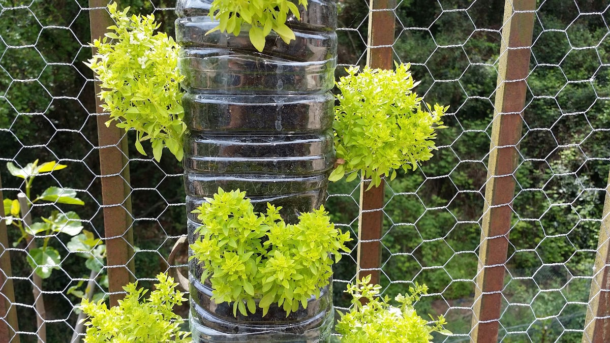 Creating A Fantastic Vertical Garden For Your Home