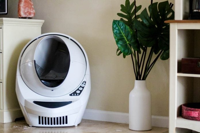 Adopting A Cat 101: Tips For Success