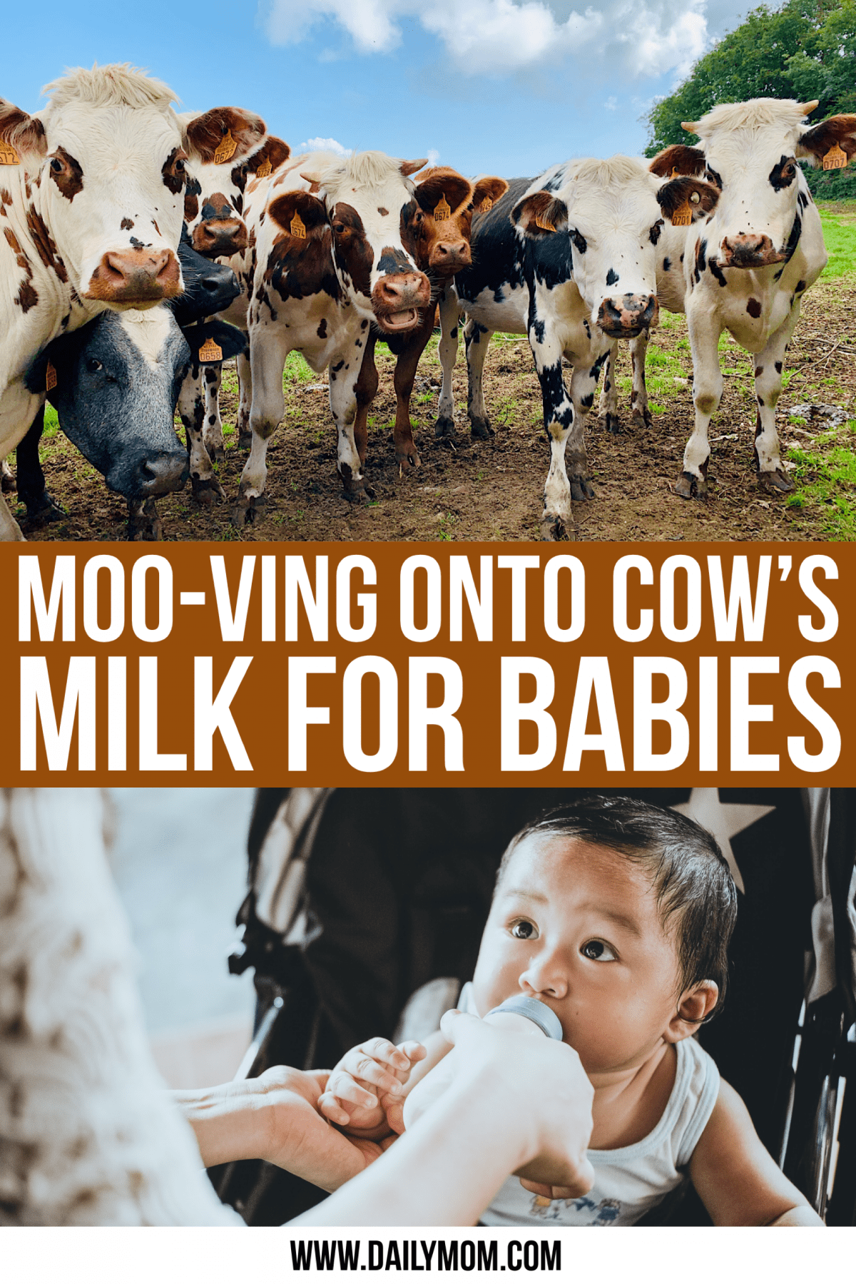 Moo-ving Onto Cows Milk For Babies, Let’s Get Started!