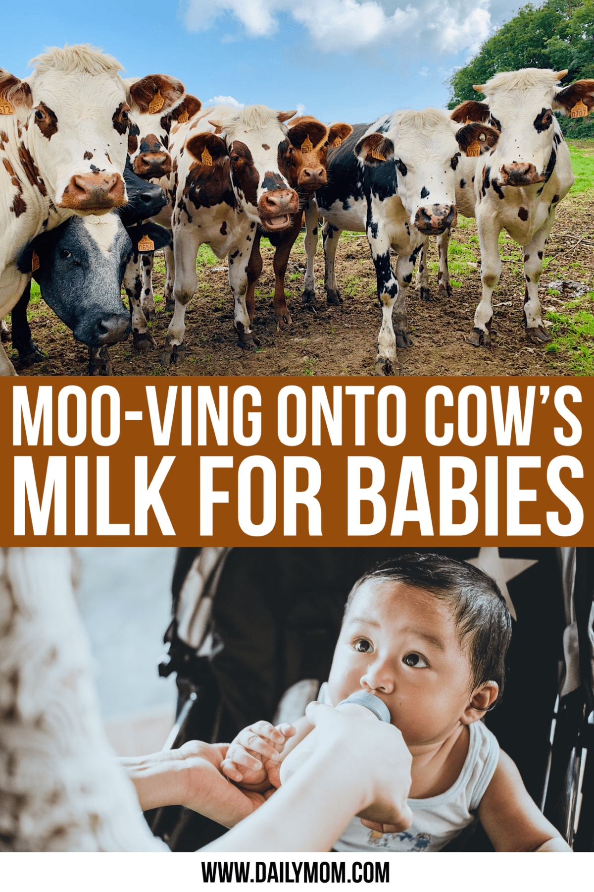Moo-ving To Cows Milk For Babies, Let’s Get Started