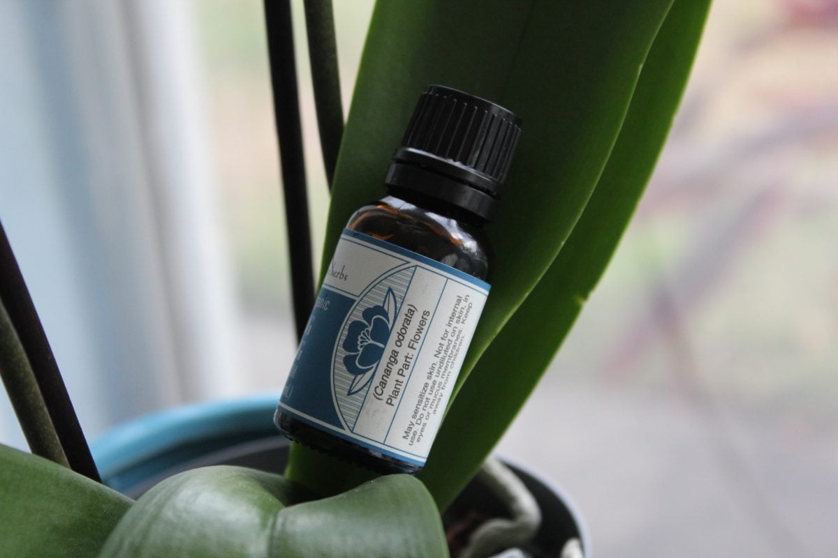 Stressed? Say “yes, Yes!” To Ylang Ylang Oil