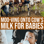 Moo-ving Onto Cows Milk For Babies, Let’s Get Started!