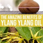 Stressed? Say “yes, Yes!” To Ylang Ylang Oil