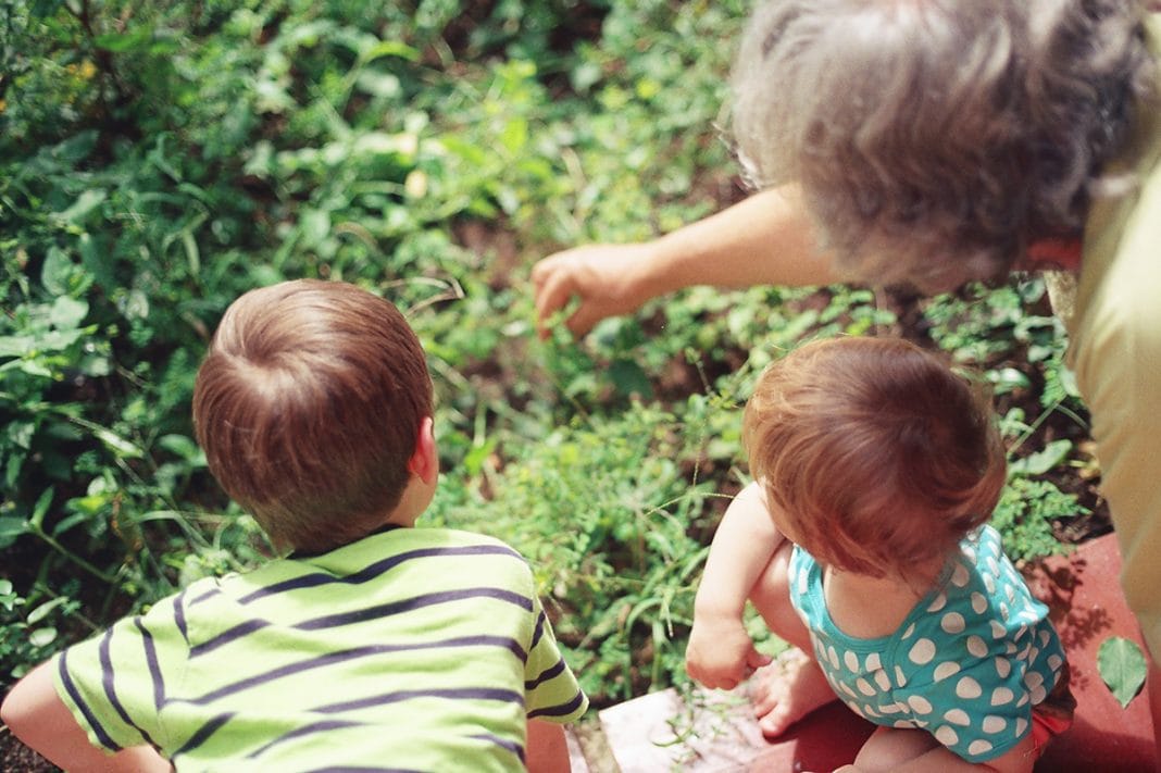 Estranged With Family: Parentless Parenting