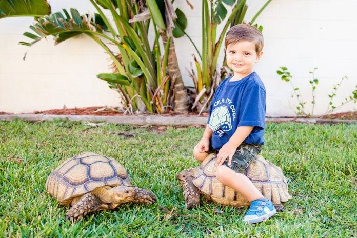 The Best Summer Kids Clothing {2020}