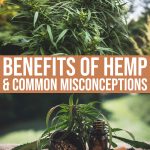 The Benefits Of Hemp, Common Misconceptions, “can Hemp Get You High”