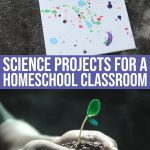 10 Science Projects For A Homeschool Classroom