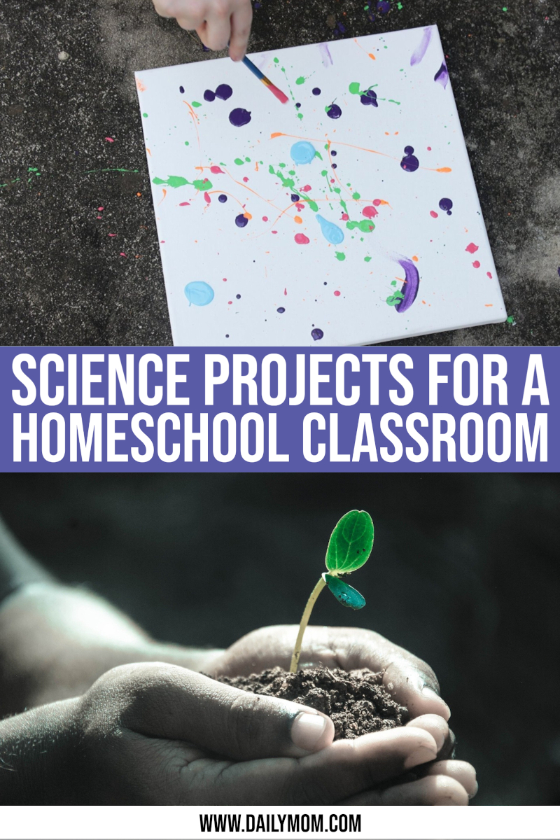 10 Science Projects For A Homeschool Classroom