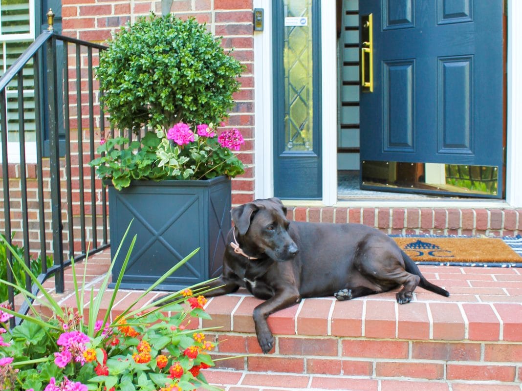 Refresh Your Front Door Decor