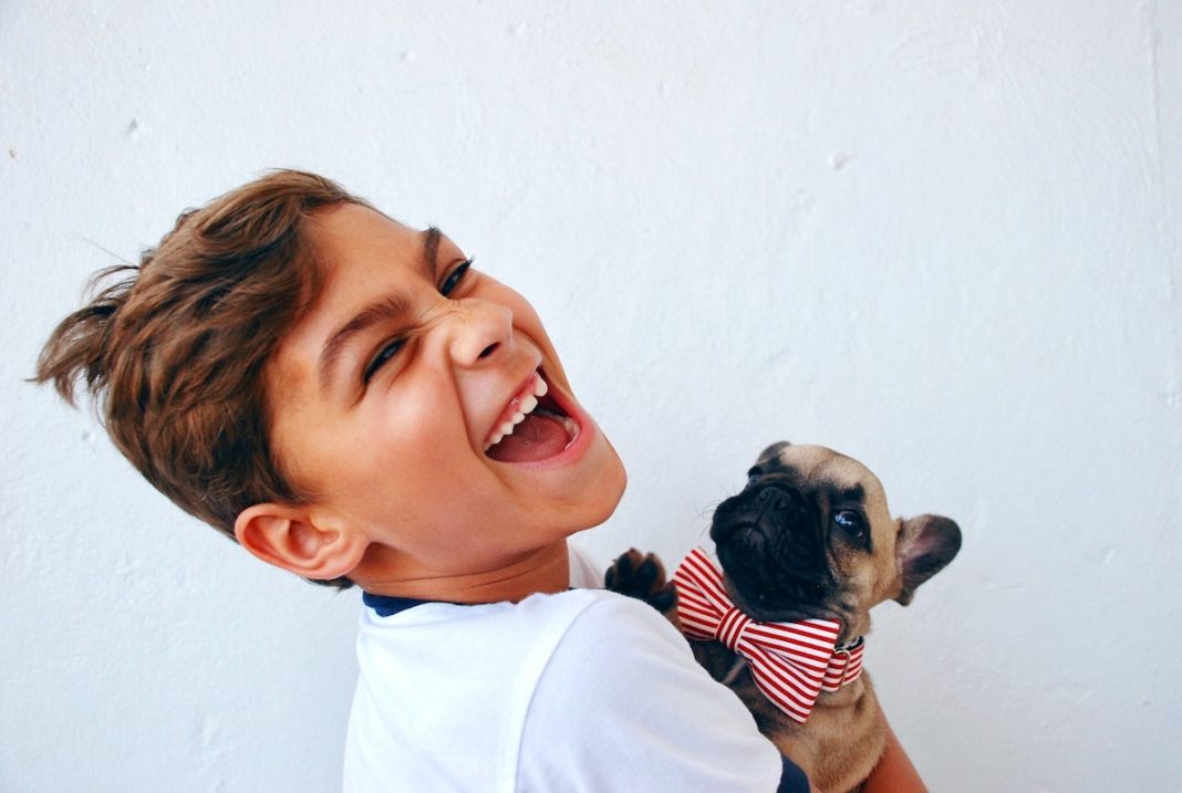 Potty Training A Dog: Easy 4 Step Guide