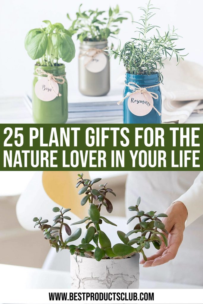 Plant-Gifts