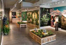 How To Discover The Best Cbd Products For Your Needs